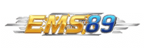 ems-89 logo